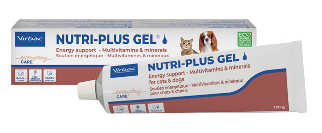 NUTRIPLUS GEL PASTA ORALE 120 G - farmaciabianca.it
