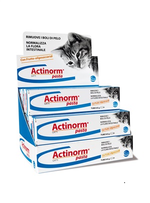 ACTINORM PASTA GATTI 65 G - farmaciabianca.it