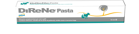 DIRENE PASTA 15 ML - farmaciabianca.it