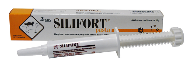 SILIFORT PASTA OS SIRINGA 15 G - farmaciabianca.it