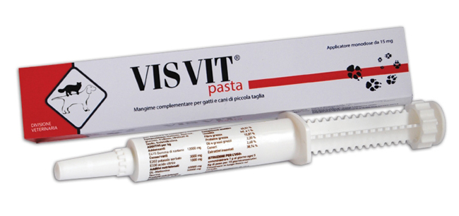 VISVIT PASTA OS SIRINGA 15 G - farmaciabianca.it