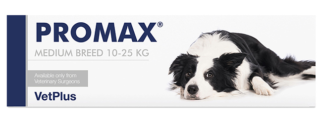 PROMAX MEDIUM BREED 18 ML - farmaciabianca.it